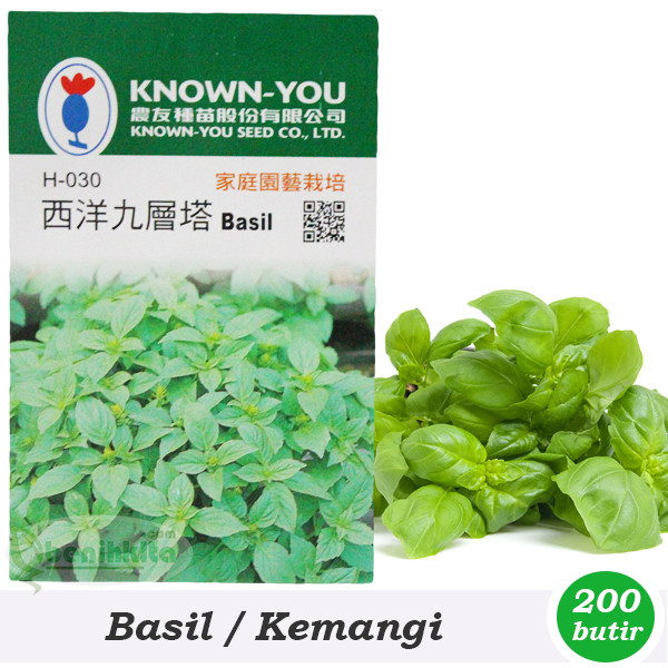 Beneih/Bibit Herbal Basil/Kemangi (Known-You Seed)
