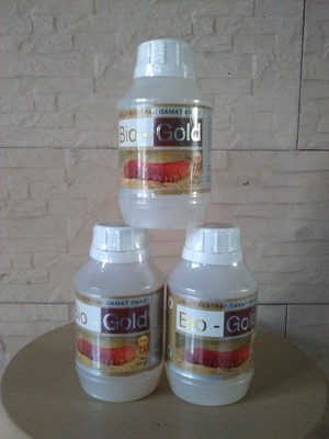 Info Jelly Gamat Bio Gold Travelbon.com Info Jelly Gamat Bio Gold Travelbon.com