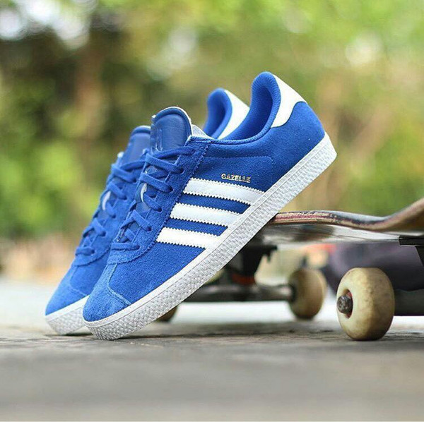 gazelle 2 blue