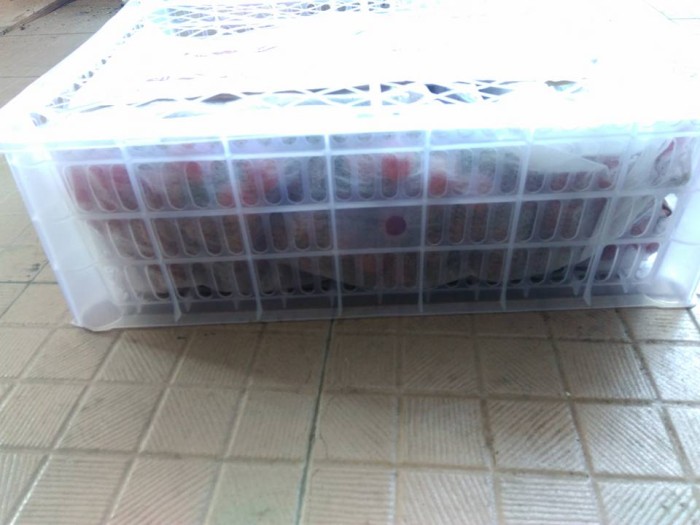 76+ Gambar Anggur Merah 1 Krat Terlihat Keren 76+ Gambar Anggur Merah 1 Krat Terlihat Keren