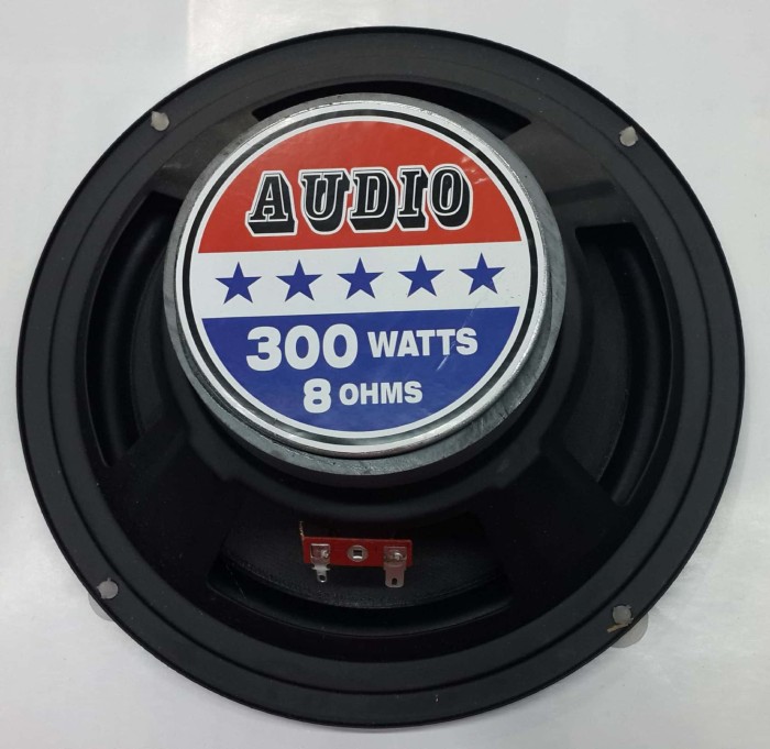 speaker 8 inch 300 watt