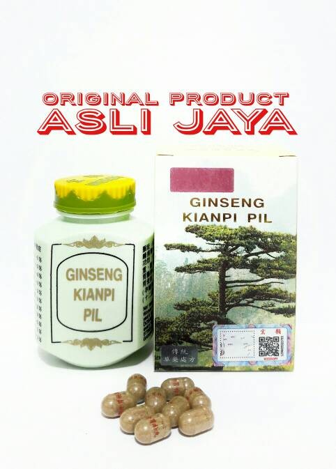Jual Ginseng Kianpi Pil WISDOM    - Obat Gemuk / Penambah