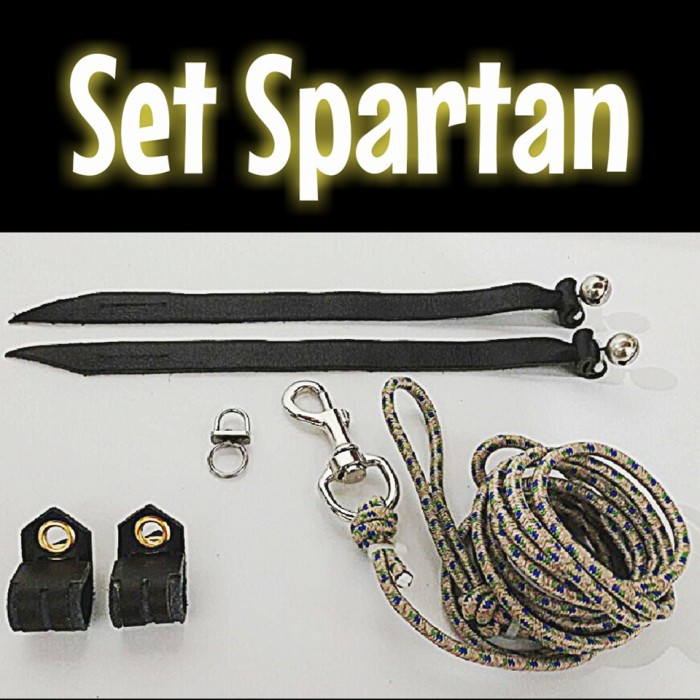 Jual Set Falconry Ukuran Bwk Alap Alap Tikus Kota Salatiga