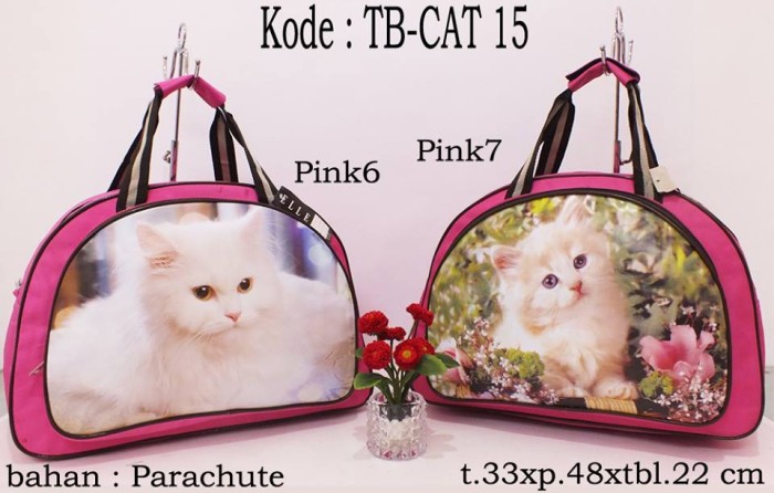Contoh Gambar Kucing Anak Tk