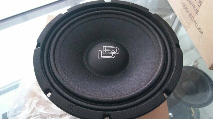 8 inch midrange