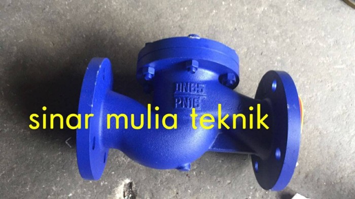  Check Valve Cast Iron PN16 2 1/2 Inch
