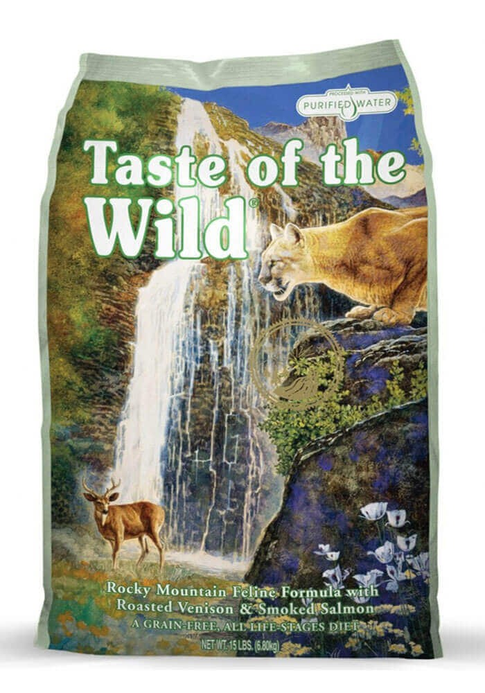 papillon terrier mix