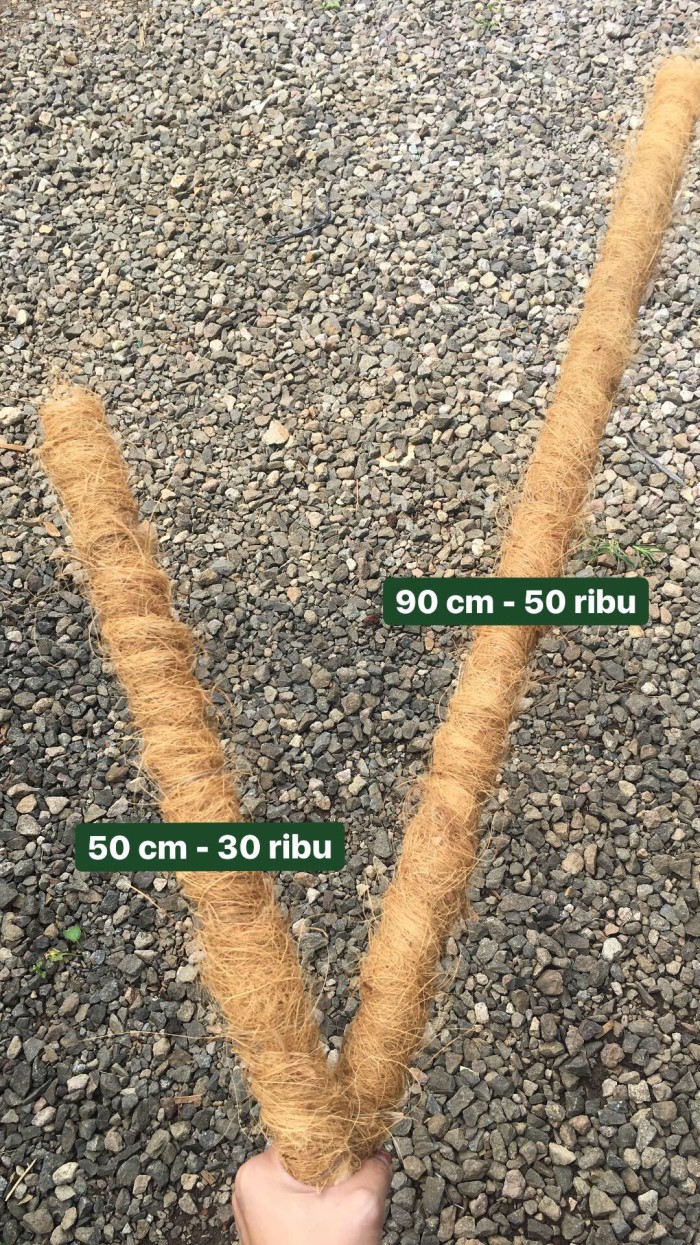 Jual Rambatan 50 Cm Turus Penyangga Tanaman Keliatan Elegan