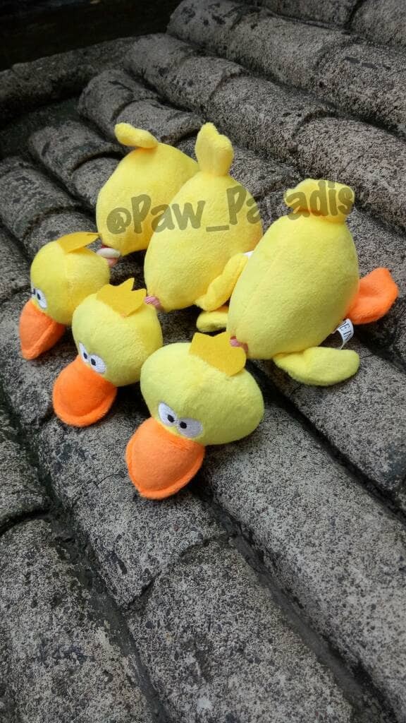flying duck dog toy