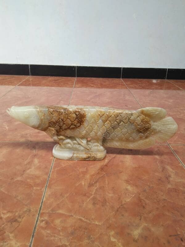 Harga Ikan Arwana Travelbon.com Harga Ikan Arwana Travelbon.com