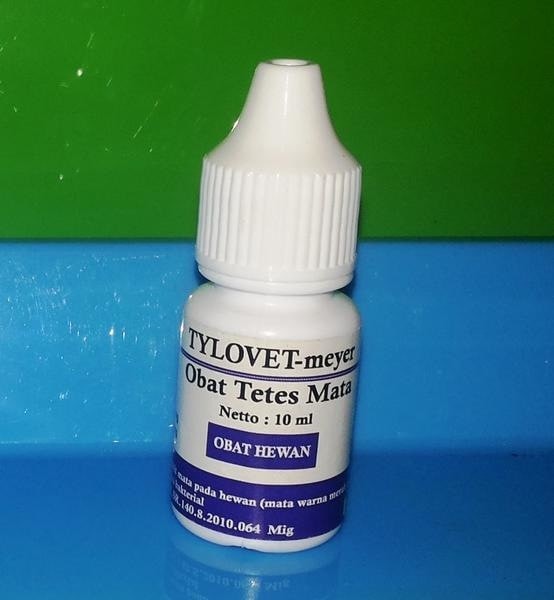 Harga Obat Tetes Mata Travelbon.com Harga Obat Tetes Mata Travelbon.com