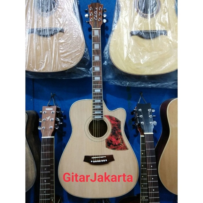 Harga Gitar Cole Clark Travelbon.com Harga Gitar Cole Clark Travelbon.com