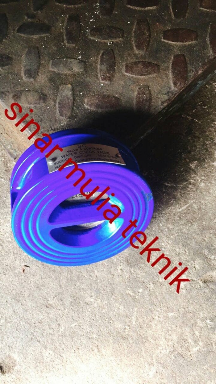 Wafer Check Valve Cast Iron PN 16 2 1/2 Inch