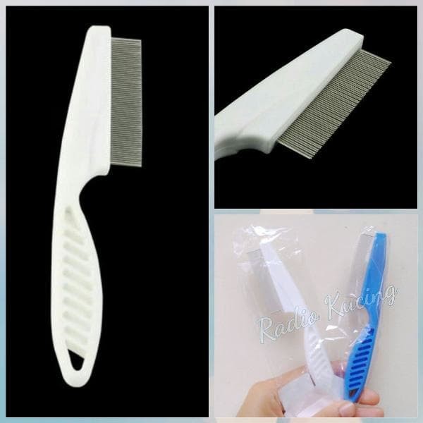 Harga Marmut Hargano.com Harga Marmut Hargano.com