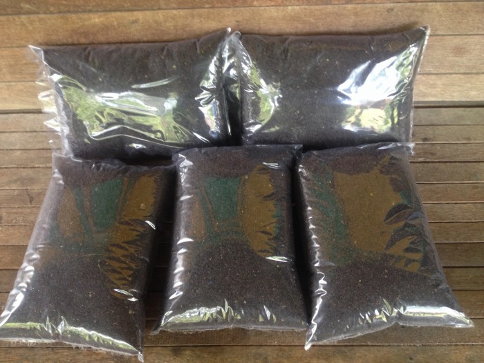 Jual kompos azolla murni untuk campuran media tanam bibit Jual kompos azolla murni untuk campuran media tanam bibit