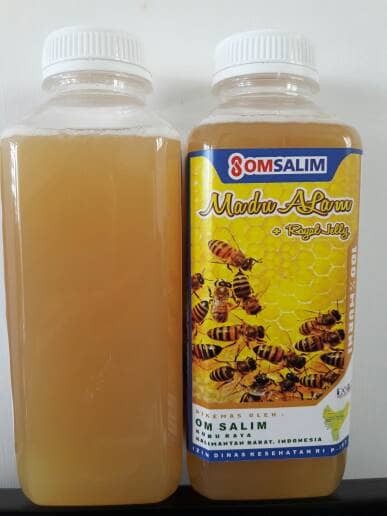 Info Madu Kelulut Travelbon.com Info Madu Kelulut Travelbon.com