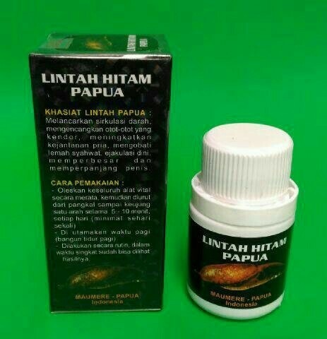Info Minyak Lintah Papua Travelbon.com Info Minyak Lintah Papua Travelbon.com