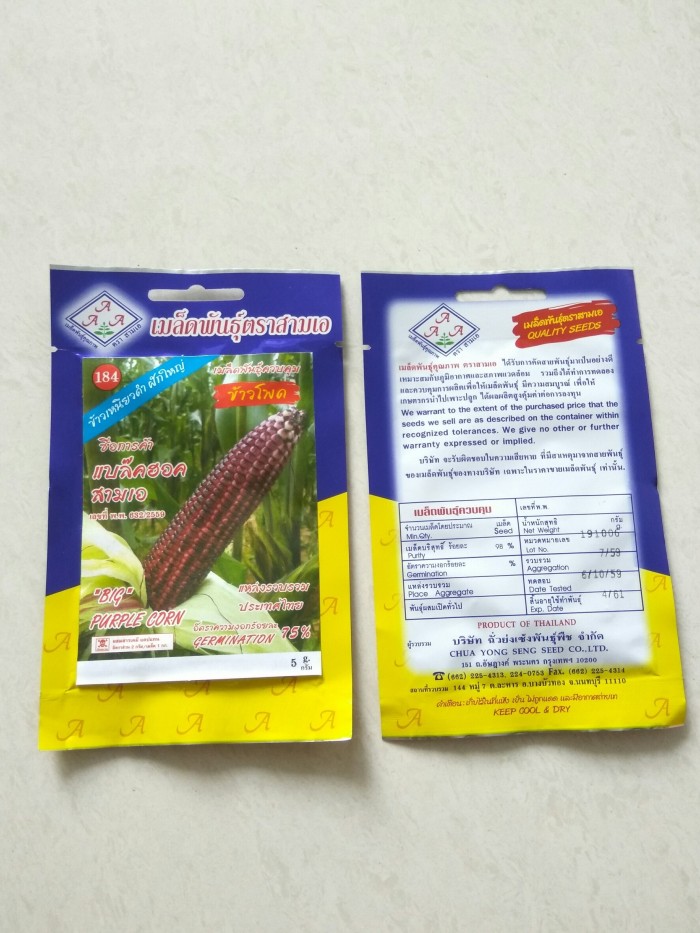 Benih/ Bibit Impor Bangkok/Thailand Jagung Big Purple Corn Berkualita