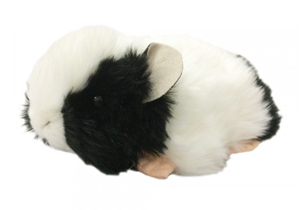Jual Boneka Hewan Marmut American Jakarta Pusat Unicos99