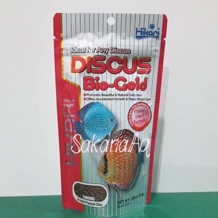 Katalog Ikan Discus Travelbon.com Katalog Ikan Discus Travelbon.com