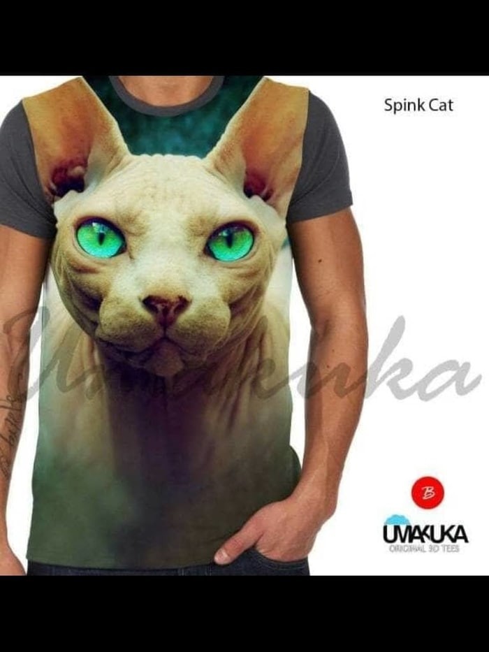 Katalog Kucing Sphynx Travelbon.com Katalog Kucing Sphynx Travelbon.com