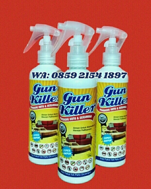 9900 Koleksi Gambar Hewan Tumbila HD