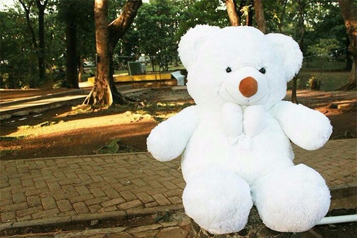 Harga Boneka Jumbo Travelbon.com Harga Boneka Jumbo Travelbon.com