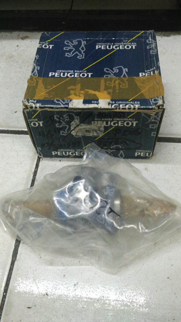 diabetes felina sedán peugeot 307