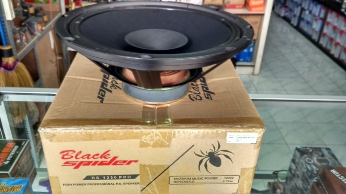 subwoofer black spider 12 inch