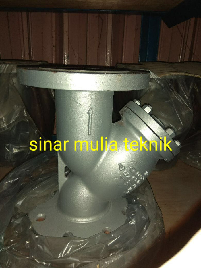 Y Strainer Carbon Steel ANSI 150 8 Inch
