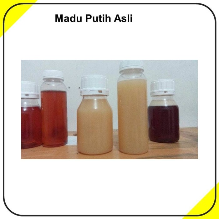 jual madu putih sumbawa asli dan murni 1kg galeri nur herbal jual madu putih sumbawa asli dan murni 1kg galeri nur herbal