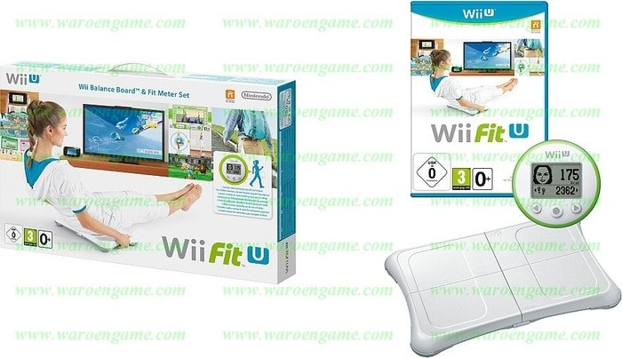 wii fit meter