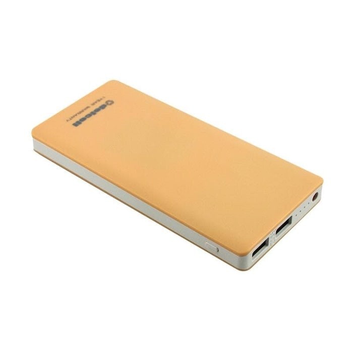 Powerbank DELCELL eco power bank slim 10000 mAh real capacity + SENTER