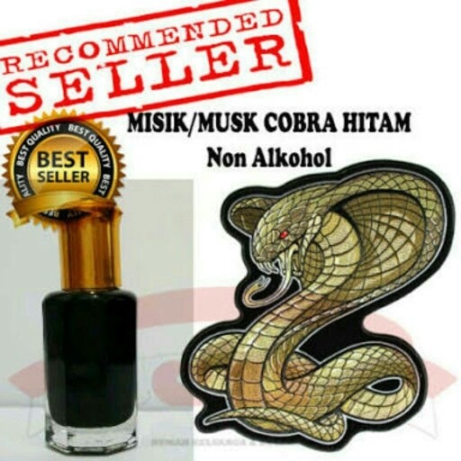 Minyak Misik Cobra Asli Arab Saudi