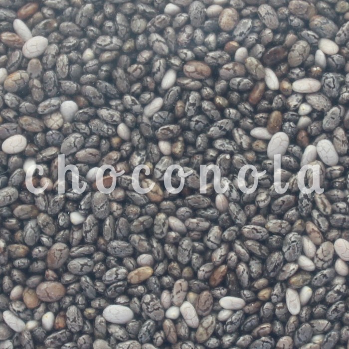 jual choconola organic black chia seeds 500g chiaseeds jual choconola organic black chia seeds 500g chiaseeds