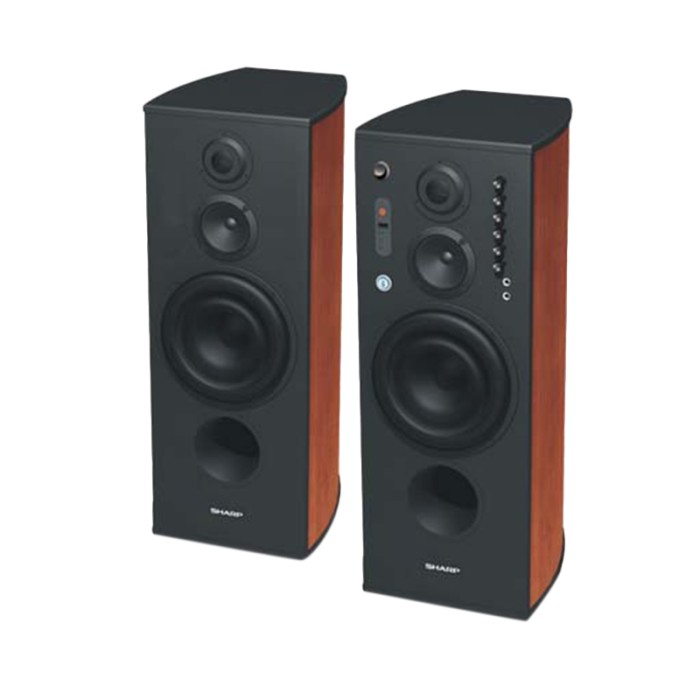 active speaker sharp