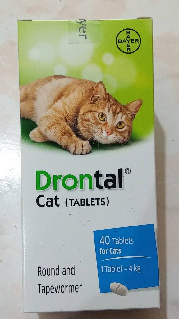 81 Gambar Obat Cacing Kucing Kekinian 81 Gambar Obat Cacing Kucing Kekinian