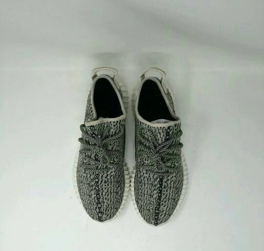 adidas Yeezy 350 Turtle Dove Crep Protect Test