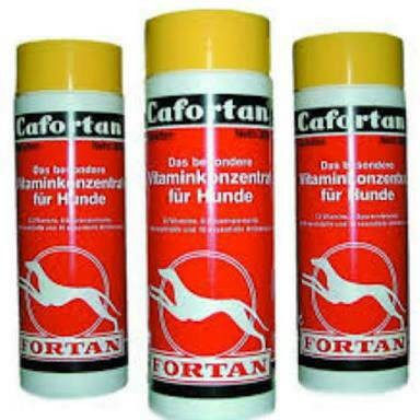 Vitamin / Suplement Anjing Fortan Cafortan 300gr
