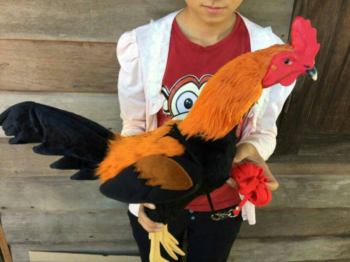 Jual Boneka Ayam Bulu Halus Import Thailand Jakarta Barat