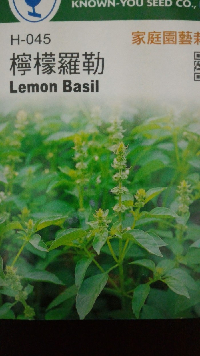 Benih / BIbit Herbal Kemangi LEMON BASIL 200 Butir ( Home Garden )