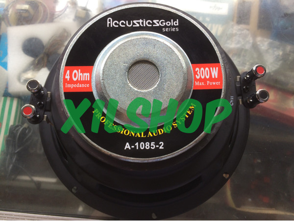 speaker acoustic 10 inch