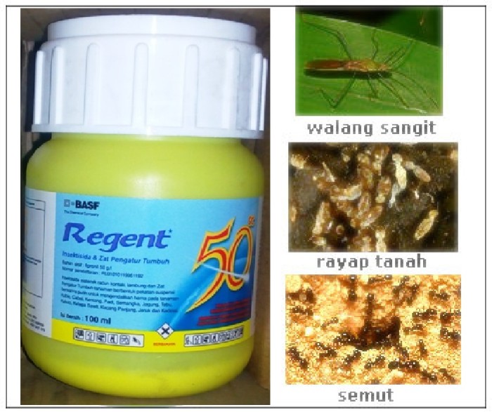 Insektisida Regent 50EC