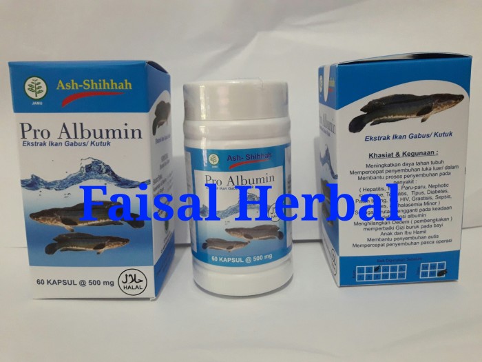 Pro Albumin Ash-Shihhah ( Kapsul Ekstrak Ikan Gabus / Kutuk )