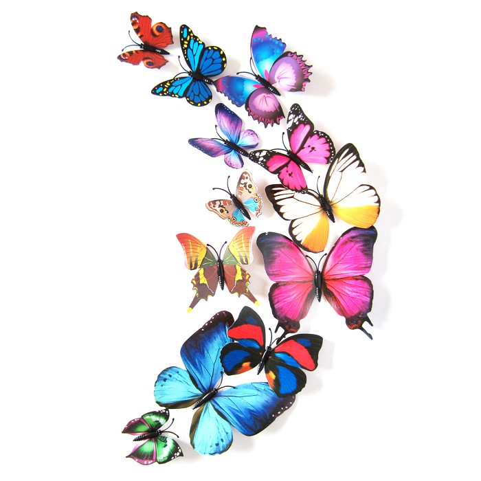 Jual 3d Butterfly Wall Sticker Stiker Dinding Kupu Kupu 3d Dgn