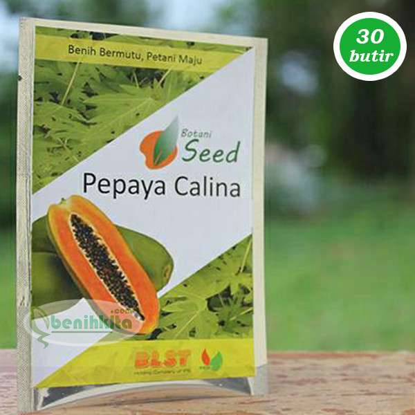 jual benih bibit pepaya calina california ipb 9 botani jual benih bibit pepaya calina california ipb 9 botani