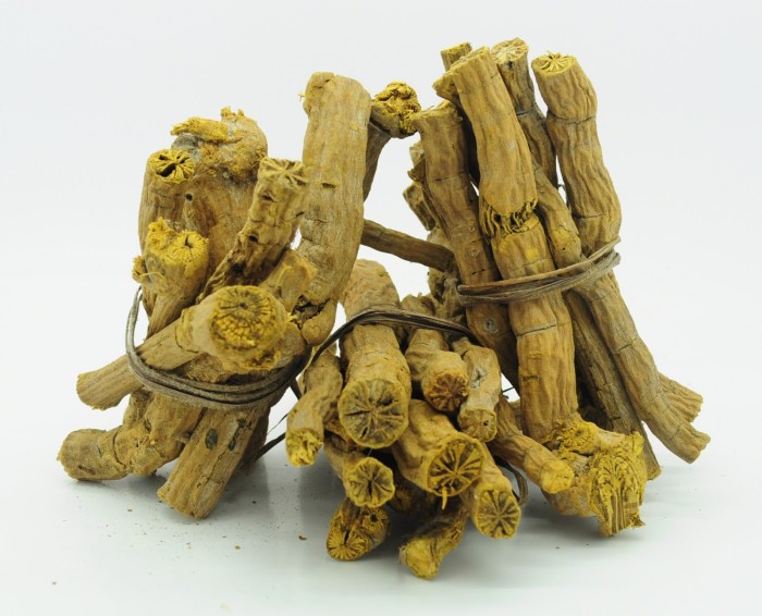 Image result for akar kuning
