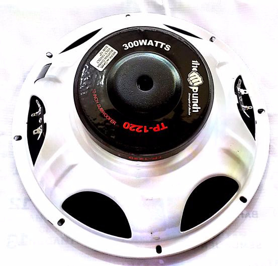 speaker 12 inch 300 watt