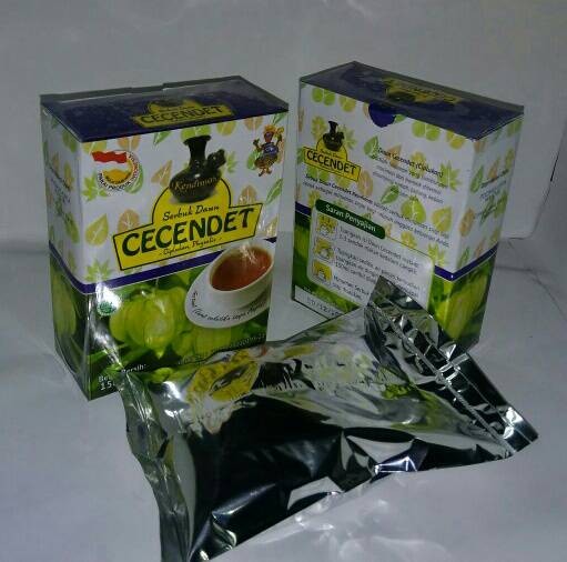 diabetes mellitus ciplukan obat