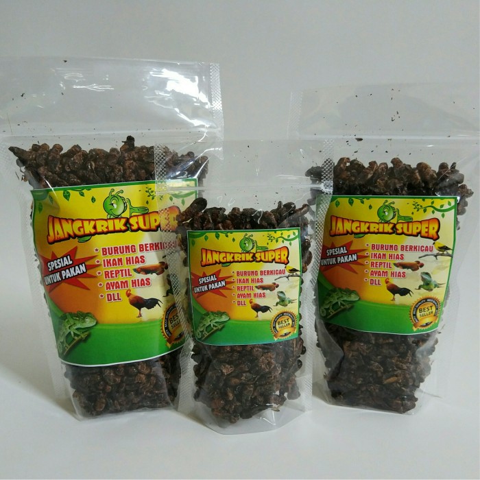 Jual Pakan Burung Gelatik Wingko Murah Dan Bergizi Kab